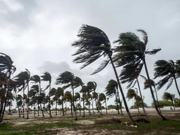 Các quốc đảo ở Caribe chịu hậu quả nặng nề sau khi bị bão Beryl càn quét