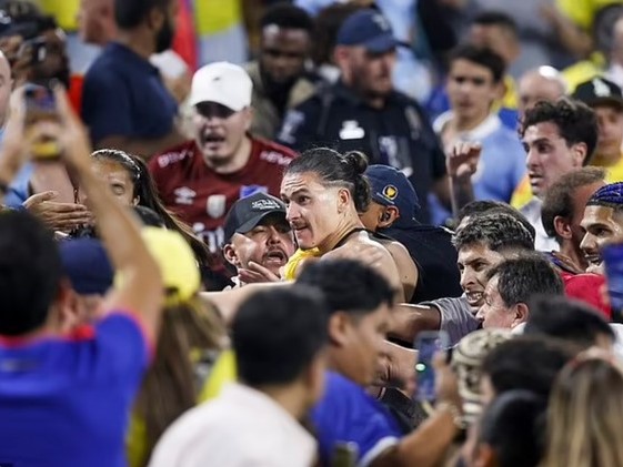 Darwin Nunez đối diện án phạt nặng vì đánh nhau với CĐV Colombia