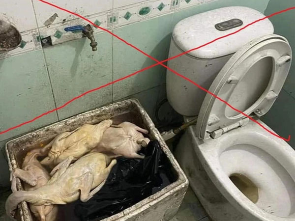 Chủ quán vịt bị 'chơi xấu' khốn đốn vì không có người mua hàng, đã nghỉ bán ba ngày nay