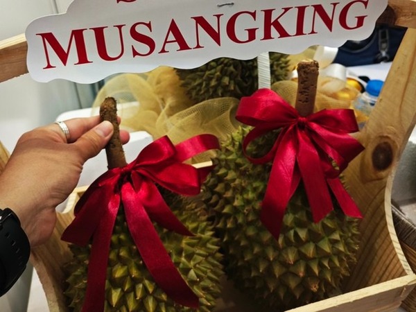 Sầu riêng Musang King rớt giá thê thảm