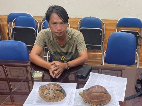 Vướng lao lý vì bán rùa quý hiếm
