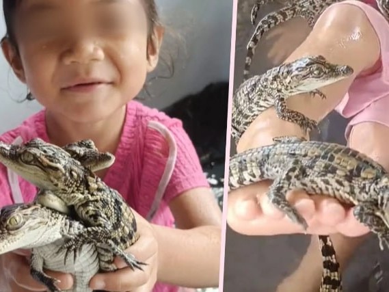 Mẹ bị chỉ trích vì để con gái 4 tuổi nô đùa với hàng trăm con cá sấu