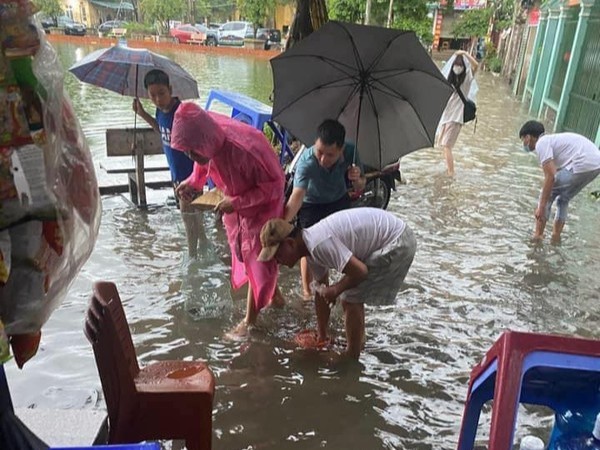 'Vịnh Triều Khúc' ngày Hà Nội mưa gió, người dân thi nhau bắt cá