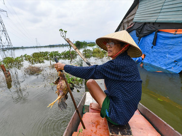 5 ngày sống cô lập trên biển nước ở ngoại thành Hà Nội