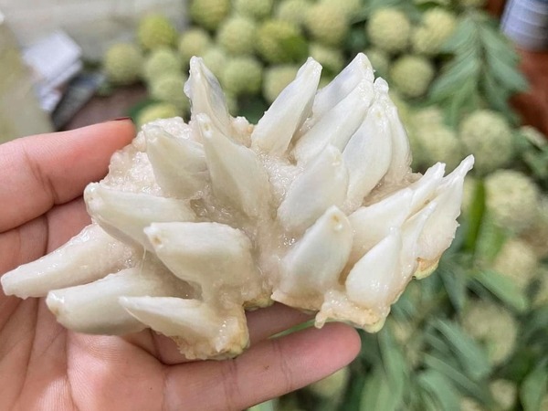 Đắt hơn sầu riêng, loại quả ‘mở mắt’ đưa về phố bán 250 nghìn/kg