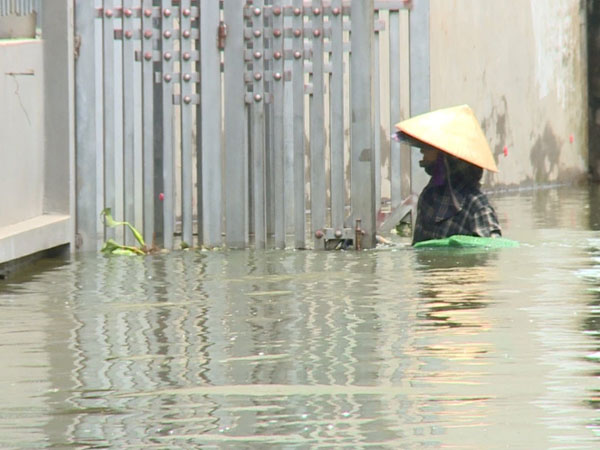 Hà Nội: 6 xã ngập úng và 1 người tử vong do mưa lũ ở huyện Quốc Oai