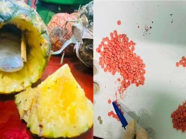 Bắt người nước ngoài 'ôm' 5 quả dứa gai qua biên giới, phát hiện điều không ngờ