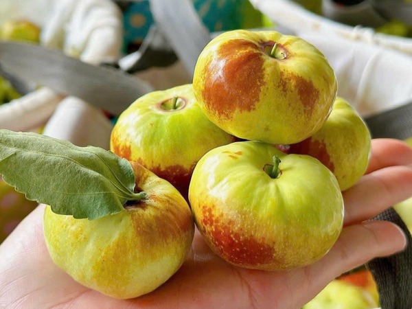 Gần 400 triệu USD nhập rau quả Trung Quốc, có loại về chợ giá cao ngất ngưởng