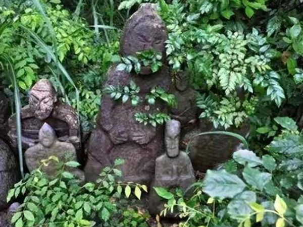 Người nông dân nhìn thấy cảnh tượng kỳ dị khi đang đốn củi, các chuyên gia đề nghị phong tỏa toàn vùng, cấm báo đài đưa tin: Phát hiện sau đó gây ngỡ ngàng