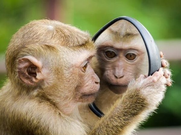 Vơ hết tiền thiên hạ tháng 7 âm, 3 con giáp từ nghèo hóa giàu