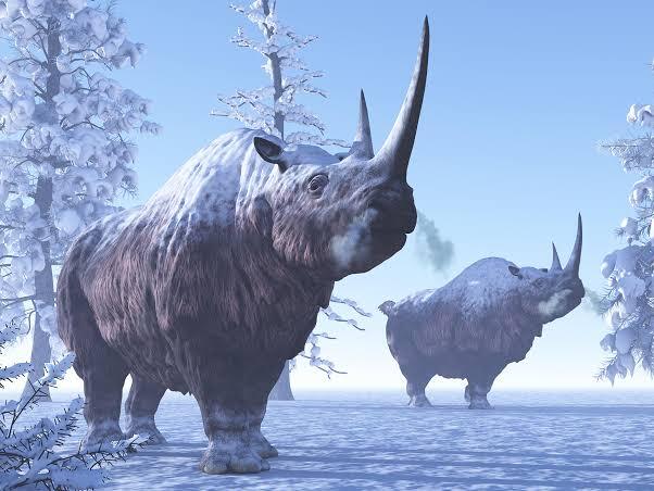 Đào vàng ở Siberia, nhóm thợ mỏ phát hiện 'xác ướp quái vật'