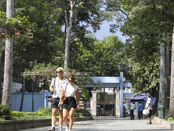 Nạn nhân bàng hoàng kể lại khoảnh khắc bị nhánh cây đè ở Công viên Tao Đàn: 'Nghe mọi người hô hoán nhưng không né kịp'