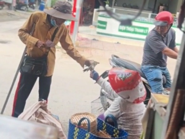 Dùng tiền để dành 'giải cứu' bầy chim sáo bị nhốt, cụ ông bán vé số gây xúc động