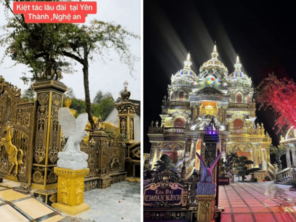 'Đại gia đồng nát' tậu một loại cây nặng 31 tấn, hình thù kỳ lạ đặt trước nhà: Giá tiền và công dụng gây sốc