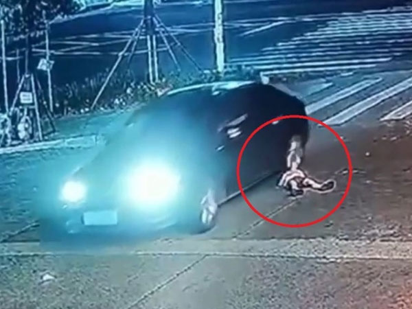 Cãi nhau nảy lửa với mẹ, bé trai ăn vạ nằm giữa đường, cảnh tượng sau đó khiến nhiều người hoảng hốt