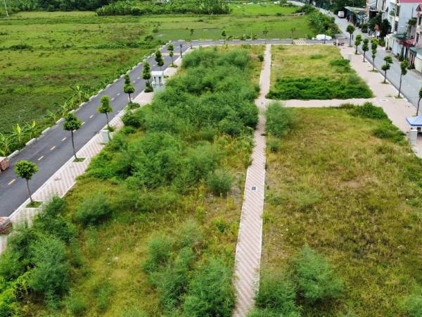 Vì sao huyện Thanh Oai, Hà Nội bất ngờ dừng đấu giá đất, trả tiền cọc?