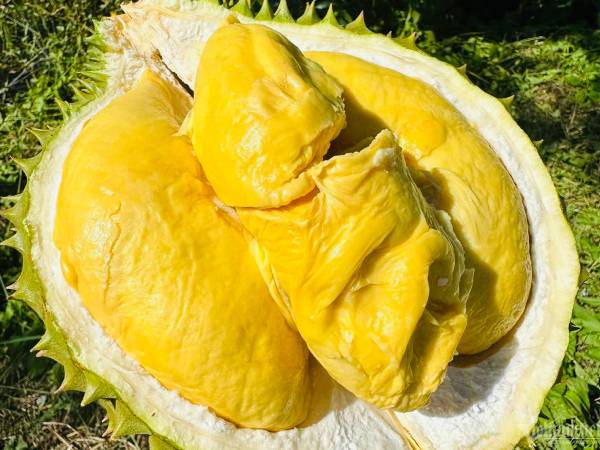 Trung Quốc nhập mạnh rau quả Việt, 7 tháng lên gần 2,5 tỷ USD