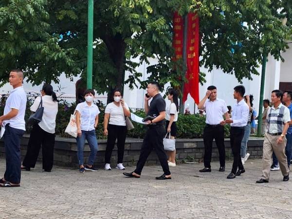 Vì sao đấu giá đất Hoài Đức kéo dài 19 tiếng, xuyên đêm tới rạng sáng?
