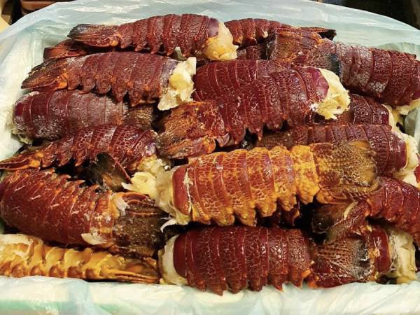 Hải sản ‘quý tộc’ đua nhau đổ bộ chợ, có loại giá rẻ như rau