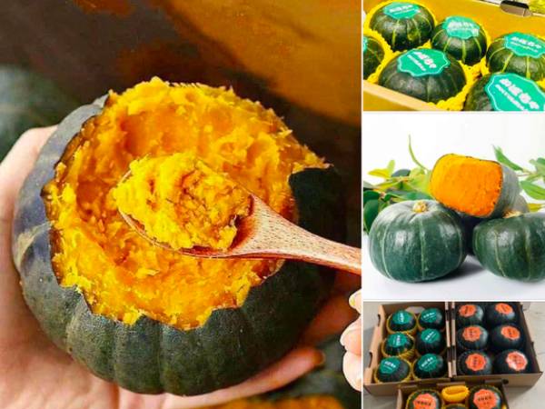 Bí ngô Trung Quốc gây sốt trên các chợ mạng, được quảng cáo 'ngon nhất thế giới'