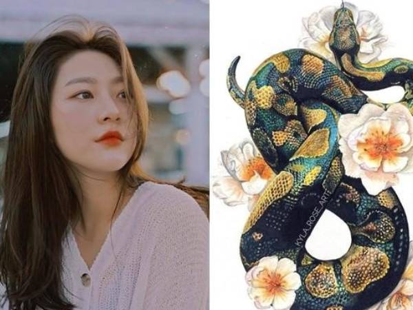 Tử vi tuổi Tị tháng 9/2024: Chưa có nhiều đột phá, chớ nên lãng phí thời gian