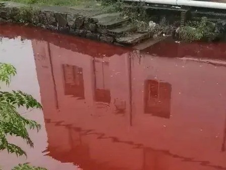 Đáng sợ: 'Dòng sông máu' đỏ tươi bí ẩn bỗng dưng xuất hiện, kéo dài hàng chục km, chính quyền đưa ra tuyên bố gây hoang mang
