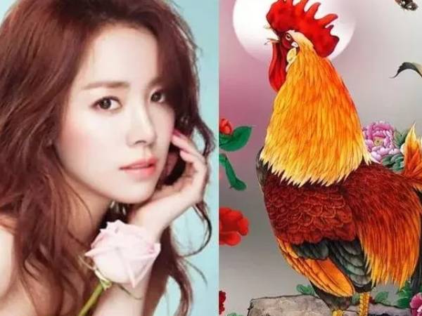 Tử vi tuổi Dậu tháng 9/2024: Vận trình hiển lộ bấp bênh, chưa được thảnh thơi