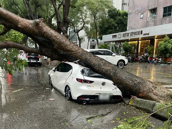 Hàng loạt ô tô ở Hà Nội bị cây đè bẹp trong cơn mưa 'nháp' trước khi siêu bão YAGI đổ bộ