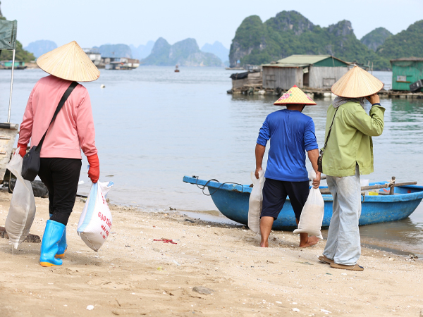 Ngư dân Quảng Ninh hối hả kéo thuyền vào bờ trước khi bão số 3 Yagi đổ bộ: 'Bao nhiêu tài sản của chúng tôi đều đang ở dưới biển'