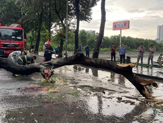 Chồng nạn nhân bị cây đè tử vong ở Hà Nội: 'Tôi dặn vợ nếu mưa to quá thì mai hãy về'