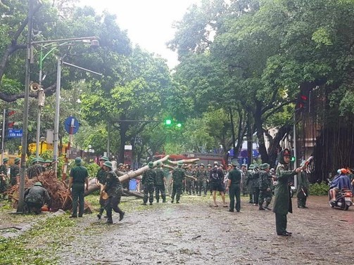14 người chết, 176 người bị thương, hơn 700 ngôi nhà hư hỏng do bão số 3