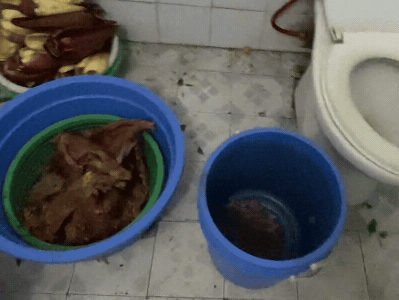 Kinh hãi quán bún bò siêu bẩn ở Hà Nội: Dùng WC làm kho chứa nguyên liệu, thịt bò nhơm nhớp như... 'mưng mủ'
