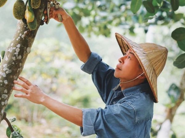 Dàn sao Việt xót xa trước loạt hình ảnh nam NSƯT Việt Hoàn đăng sau trận bão lịch sử