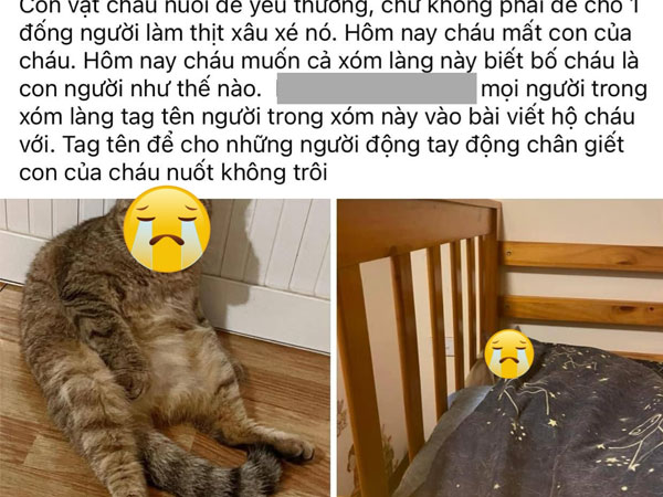 Vụ bố thịt mèo con gái nuôi 3 năm, đem chia cho hàng xóm ăn: Điều đau khổ nhất nằm sau câu chuyện gây rúng động