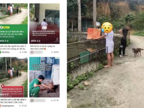 Xôn xao chuyện mẹ ném 5 chú chó con xuống ao để 'dạy dỗ' con trai, hình ảnh chó mẹ lẽo đẽo theo chân chủ khiến dân mạng xúc động