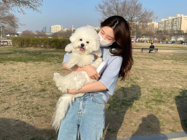 Chó cưng nuôi 2 năm bỗng qua đời sau 1 ngày gửi người trông hộ, chủ tìm đến tận nơi và chứng kiến điều kinh hoàng trong tủ lạnh