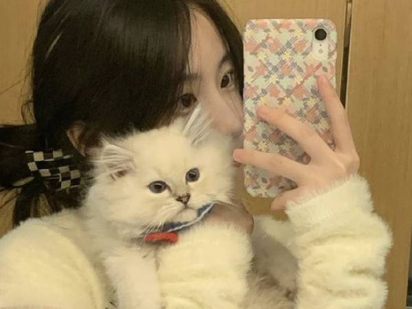 Thấy người yêu bạo hành mèo cưng của mình tàn nhẫn vì 'kêu nhiều quá phá giấc ngủ', cô gái lập tức làm 1 việc