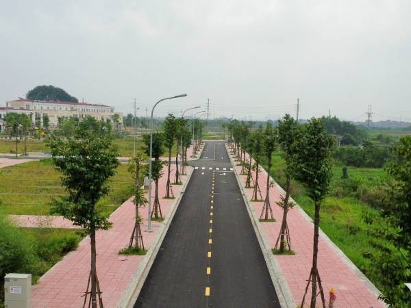Lập đỉnh 99,2 triệu/m2, Đan Phượng sắp đấu giá 26 lô đất khởi điểm 14 triệu/m2