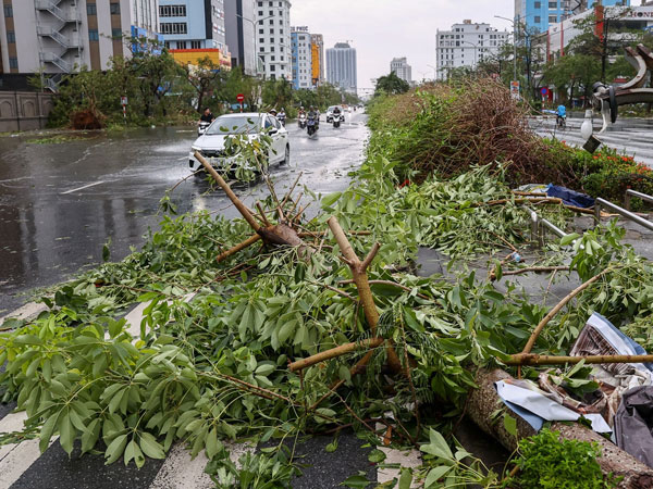 Ảnh bìa bài viết 955511