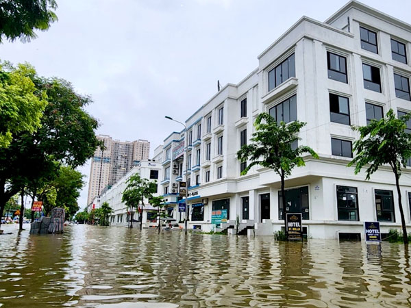 Ảnh bìa bài viết 955752