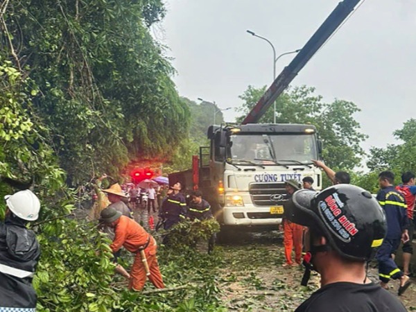 Giải cứu 2 cha con đi đường bị nhánh cây đa gãy đè lên người