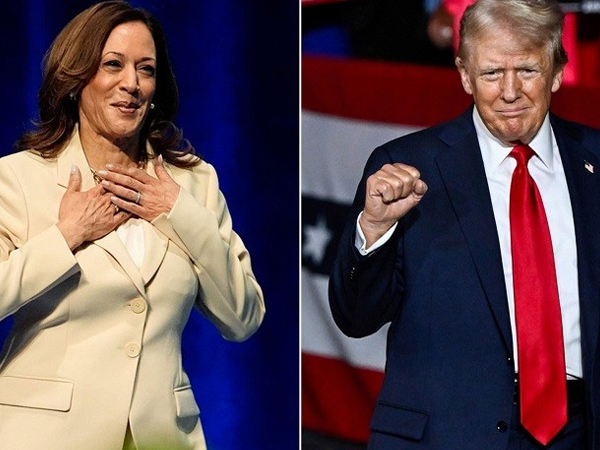 Khảo sát mới: Bà Harris dẫn trước ông Trump ở 3 bang chiến địa