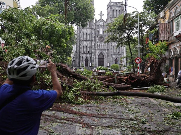Phó Giám đốc Sở Xây dựng Hà Nội: Trồng cây để nguyên vỏ bầu là trái quy định