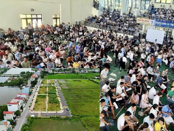 Hà Nội công khai danh tính cá nhân đấu giá đất cao bất thường rồi bỏ cọc