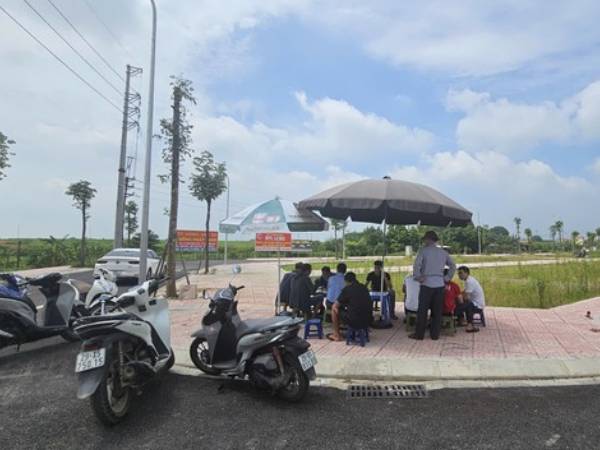Có hiện tượng 'cò’ đấu giá đất thao túng thị trường