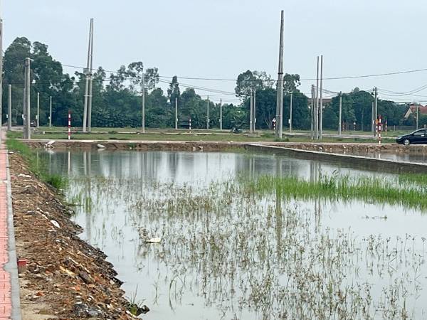 Đấu giá đất ven đại lộ Vinh - Cửa Lò: Tìm ra người trúng từ phong bì thất lạc