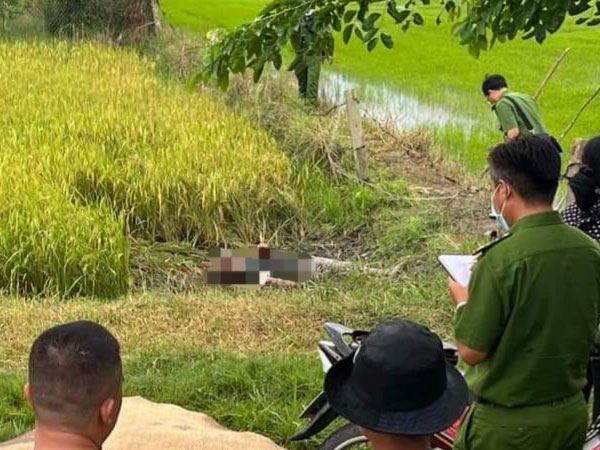 Đi thăm ruộng, hai người phụ nữ bị điện giật tử vong