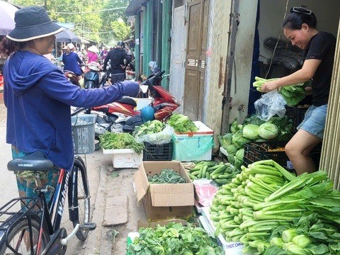 Người tiêu dùng ở Hà Nội ngóng ngày hết 'giật mình' vì giá rau xanh