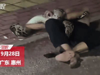 Tối muộn về nhà, người đàn ông say rượu bị trăn tấn công giữa đường lớn, cảnh sau đó ai thấy cũng tái mặt
