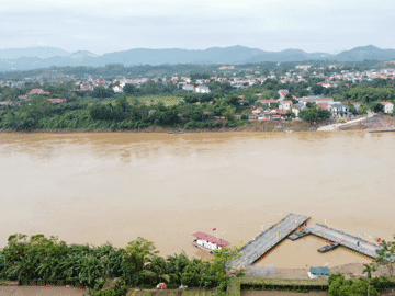 Hiện trạng cầu phao Phong Châu sau khi phải tháo rời do nước sông chảy xiết